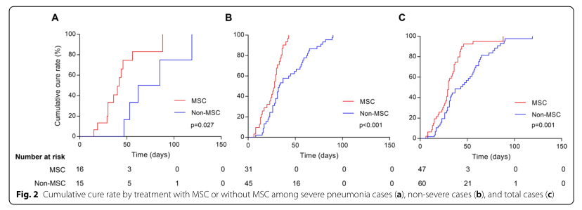 脂肪干細胞存儲 脂肪干細胞存儲
