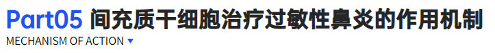 間充質干細胞 間充質干細胞