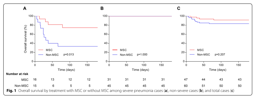 脂肪干細胞存儲 脂肪干細胞存儲