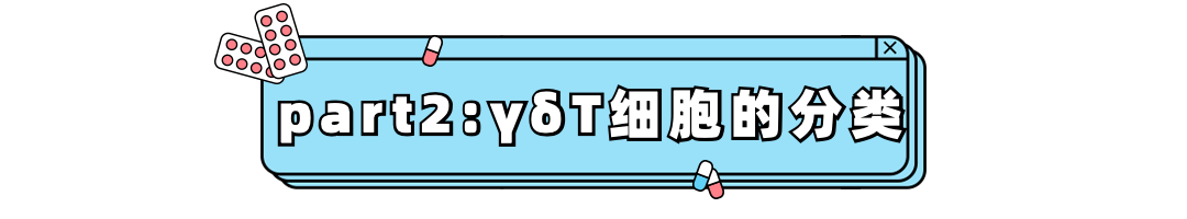 儲存免疫細胞 儲存免疫細胞