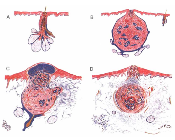 外泌體護膚品 外泌體護膚品