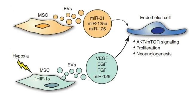 細胞儲存 細胞儲存