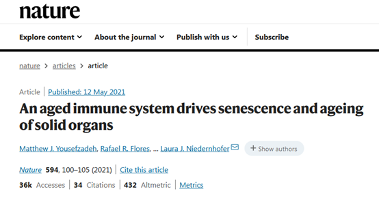 免疫細(xì)胞儲(chǔ)存 免疫細(xì)胞儲(chǔ)存