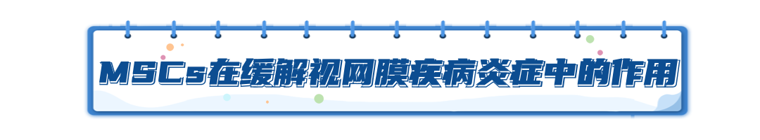 免疫細胞儲存 免疫細胞儲存