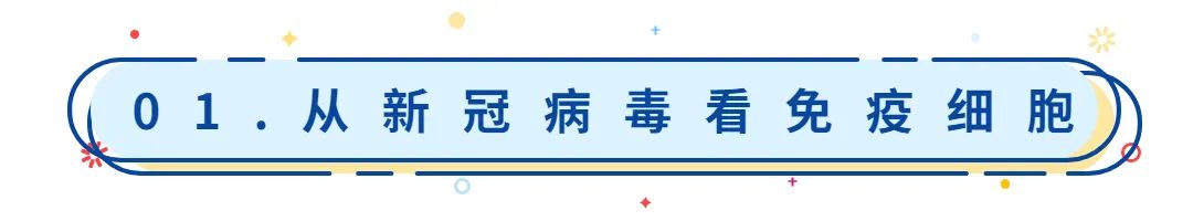 免疫細(xì)胞儲(chǔ)存 免疫細(xì)胞儲(chǔ)存