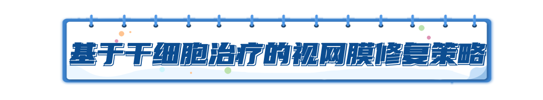 免疫細胞儲存 免疫細胞儲存