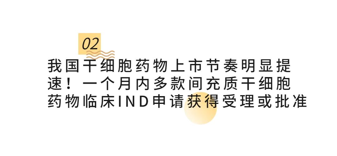 干細胞儲存 干細胞儲存