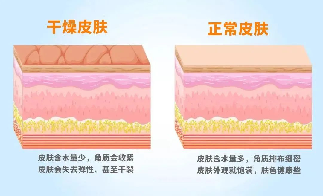 生物護膚品 生物護膚品