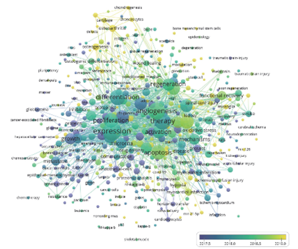 細(xì)胞儲存 細(xì)胞儲存