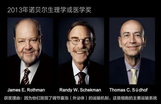 細(xì)胞儲存 細(xì)胞儲存