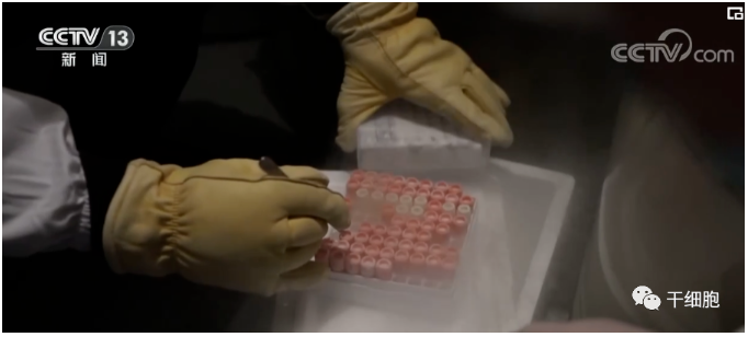 儲存細胞 儲存細胞