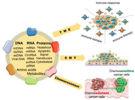 細(xì)胞儲存 細(xì)胞儲存
