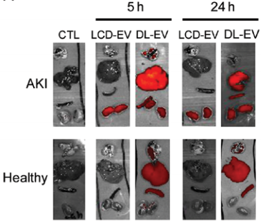 生物護膚品 生物護膚品