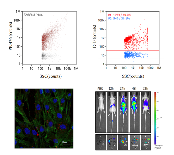 生物護膚品 生物護膚品