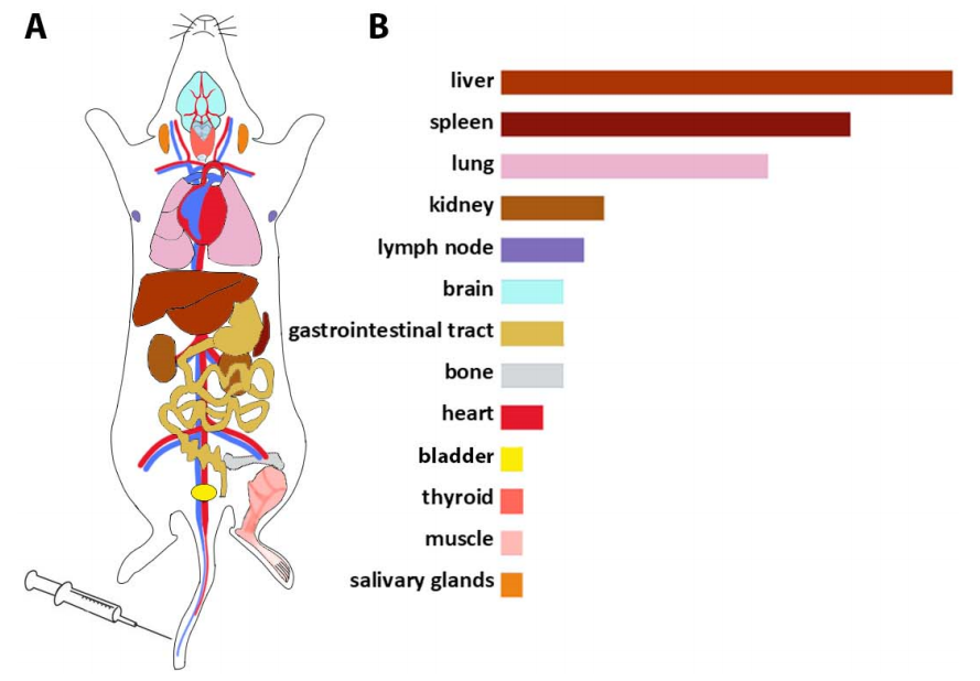 生物護膚品 生物護膚品