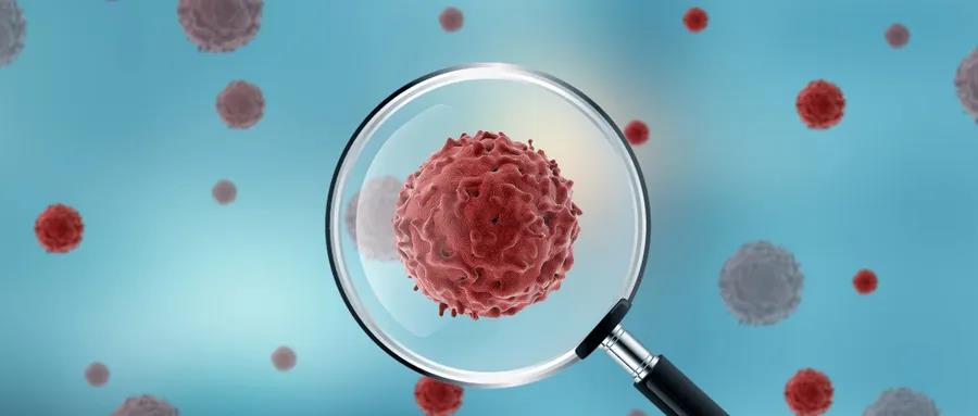 微信圖片_20200413154635 微信圖片_20200413154635