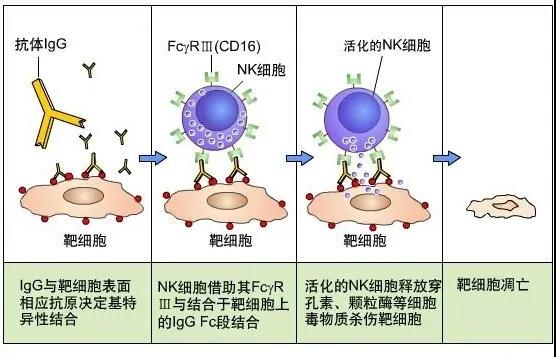 微信圖片_20200413155150 微信圖片_20200413155150