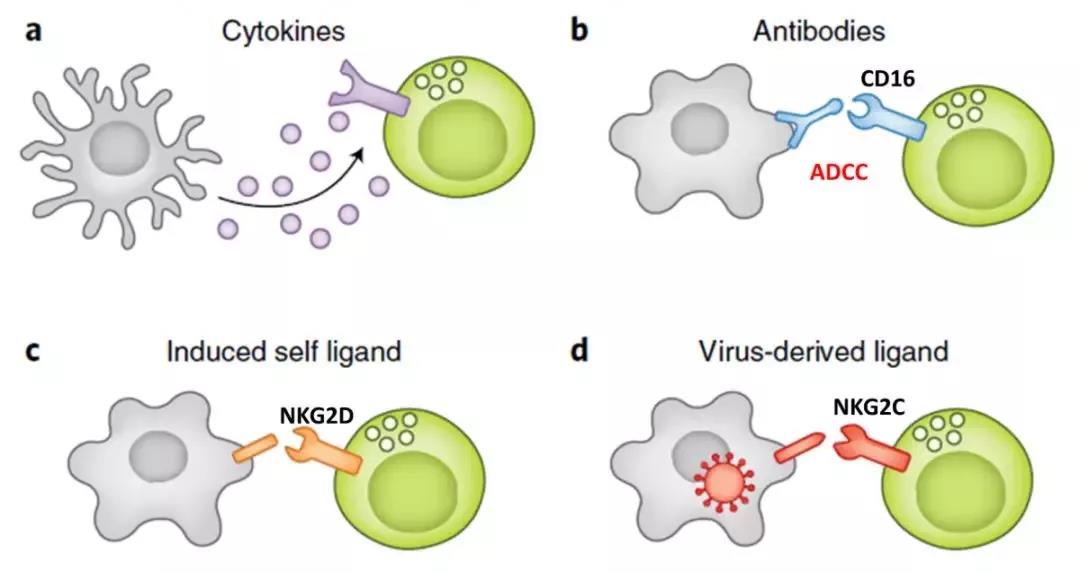 微信圖片_20200413155436 微信圖片_20200413155436