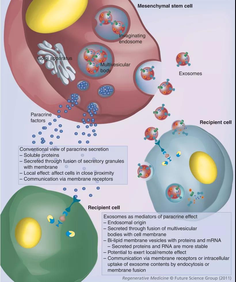 微信圖片_20200413155849 微信圖片_20200413155849