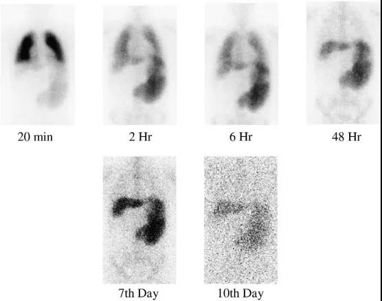 微信圖片_20200413155903 微信圖片_20200413155903