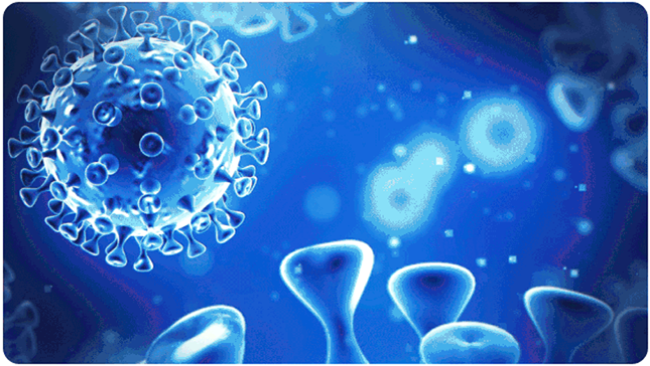 1587348833(1) 1587348833(1)