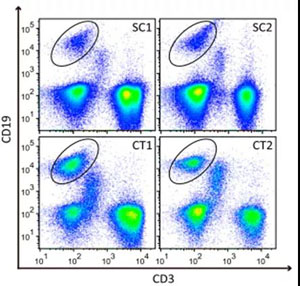 微信圖片_20200509164545 微信圖片_20200509164545
