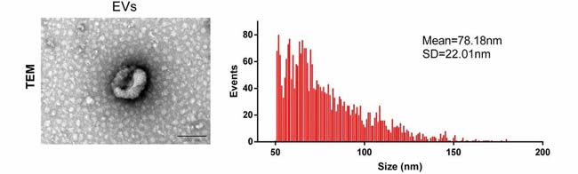 微信圖片_20200518085409