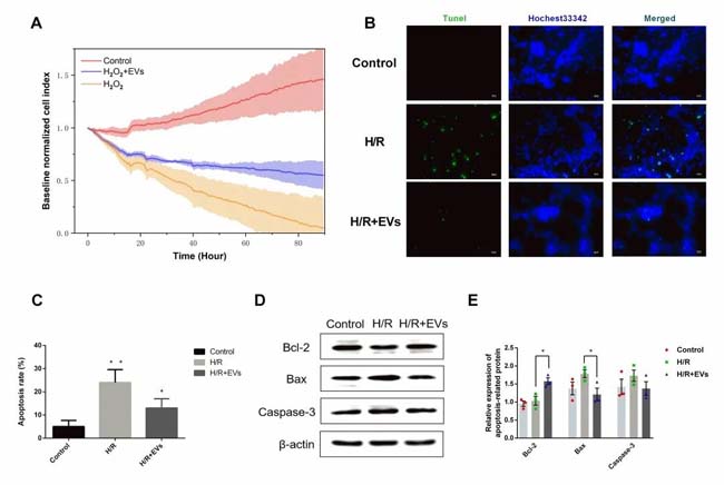 微信圖片_20200518085413