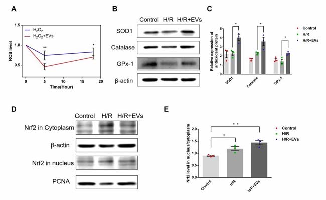 微信圖片_20200518085418