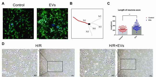 微信圖片_20200518085421