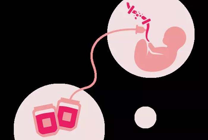 微信圖片_20200601110551