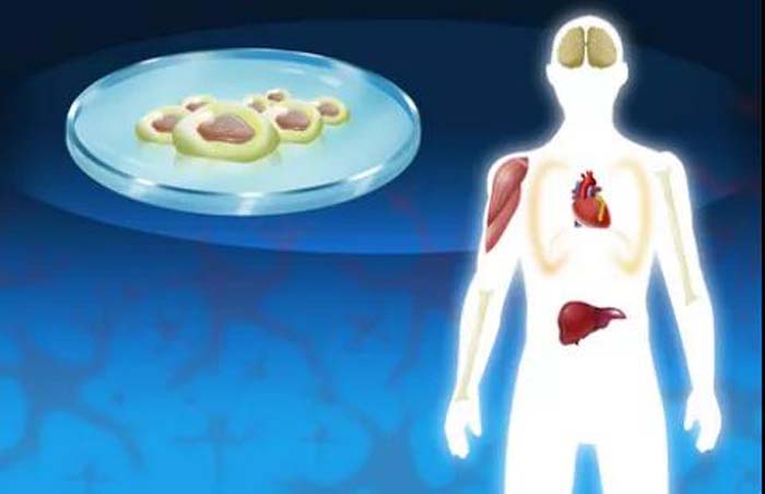 微信圖片_20200608093600