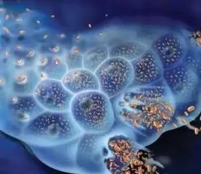 微信圖片_20200612094549 微信圖片_20200612094549