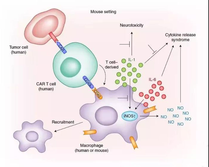 微信圖片_20200612094557 微信圖片_20200612094557