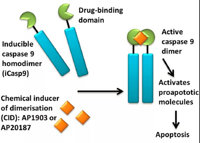 微信圖片_20200612094605 微信圖片_20200612094605