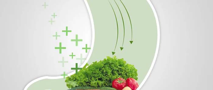 微信圖片_20200624170833 微信圖片_20200624170833