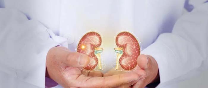 微信圖片_20200624170838 微信圖片_20200624170838