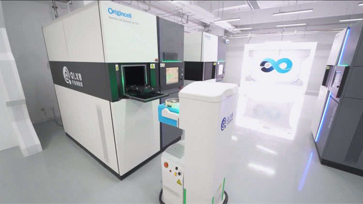 免疫細胞儲存 免疫細胞儲存