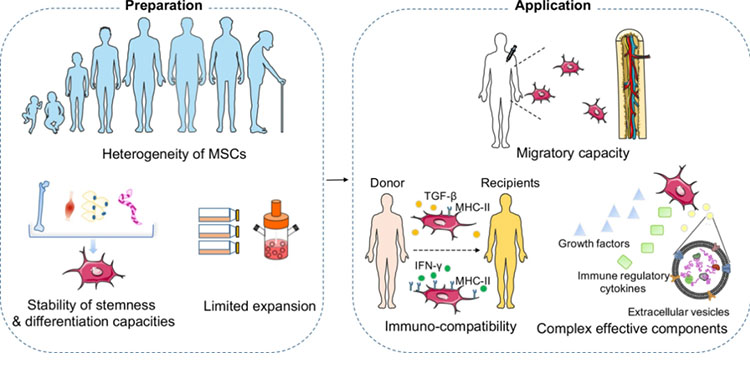 脂肪干細胞存儲