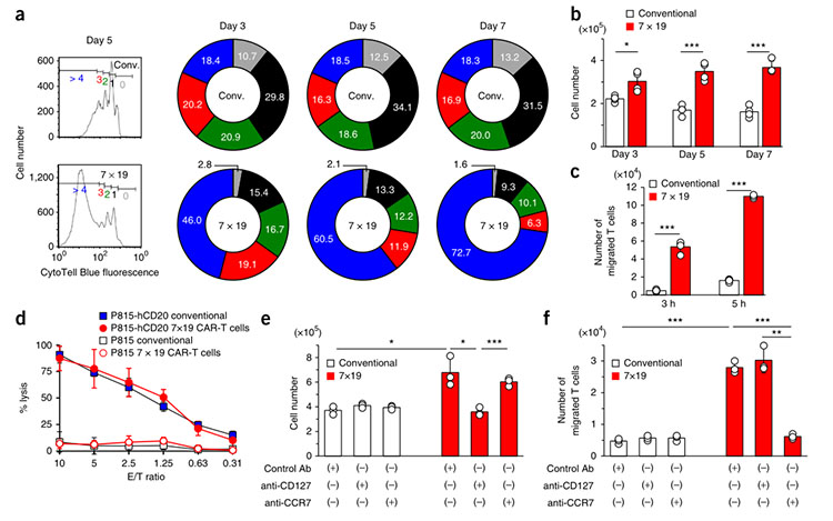 免疫細胞儲存 免疫細胞儲存