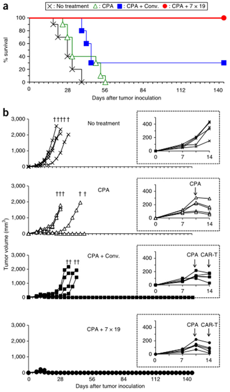 免疫細胞儲存 免疫細胞儲存