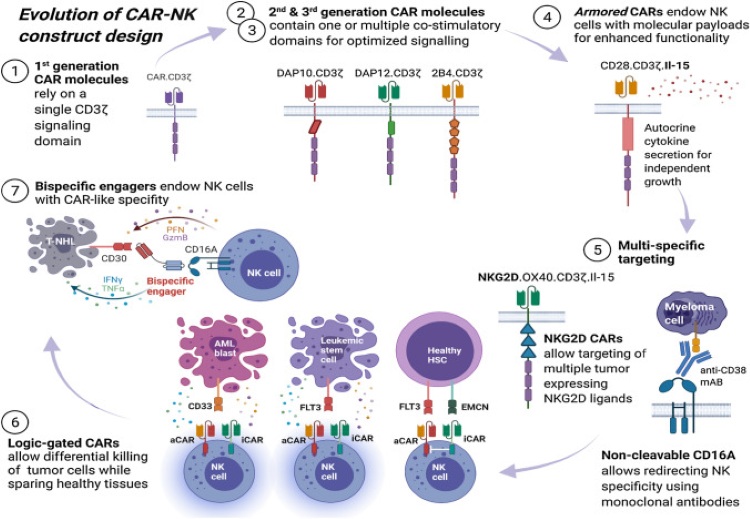 存免疫細胞 存免疫細胞