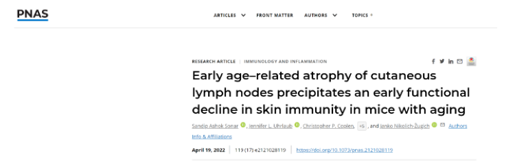 存免疫細(xì)胞