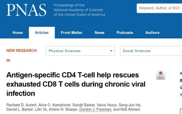 存免疫細(xì)胞