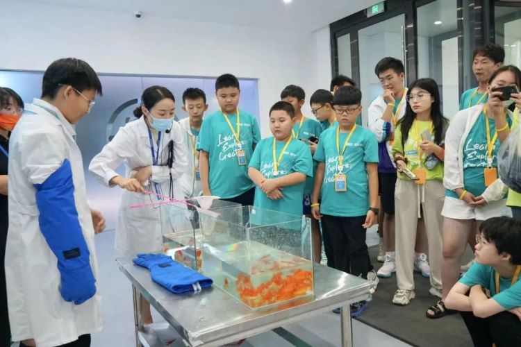 儲存細胞 儲存細胞