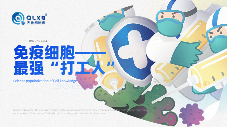 儲存免疫細胞 儲存免疫細胞