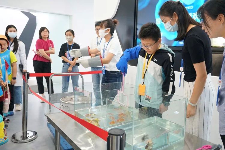 細胞存儲意義 細胞存儲意義