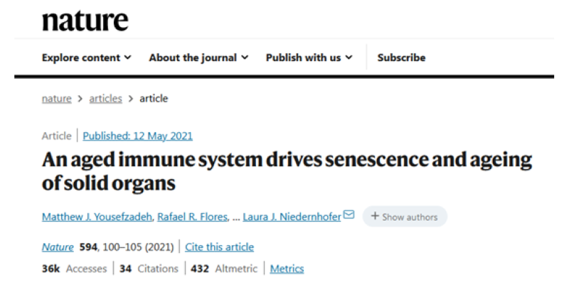 儲存免疫細胞 儲存免疫細胞