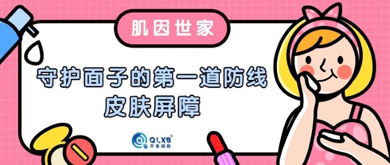 免疫細(xì)胞儲(chǔ)存公司